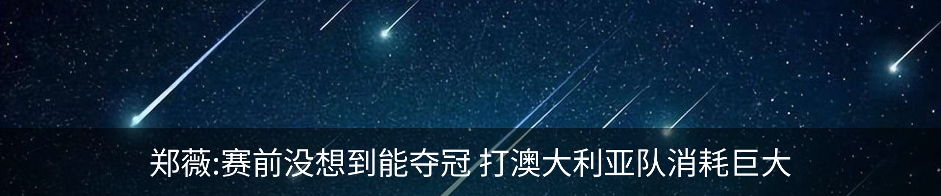新闻动态